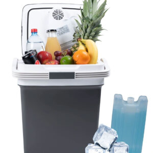 Lodówka turystyczna przenośna samochodowa 29L 220-240V DC12V funkcja grzania wkład gratis grafitowa